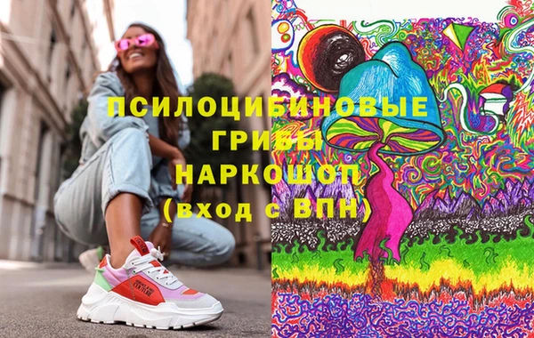 винт Армянск