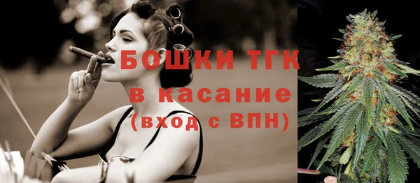 меф Арсеньев