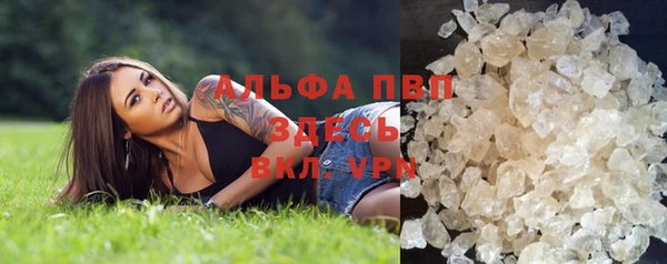 винт Армянск