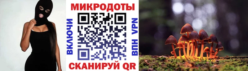 наркошоп  Калязин  Псилоцибиновые грибы мицелий 